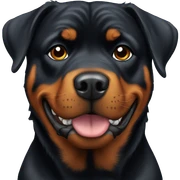Rottweiler sticker