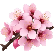 Cherry blossom sticker