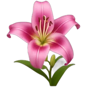 pink lily sticker