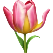 Tulip sticker