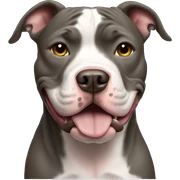 Pitbull sticker