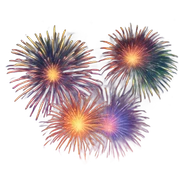 Fireworks sticker