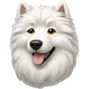 Samoyed sticker