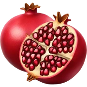 pomegranate sticker