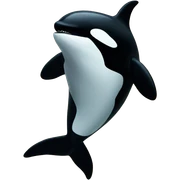 Orca sticker