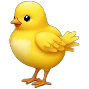 yellow-chick sticker