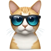 Cat with sunglasses sticker