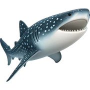 Whale shark sticker