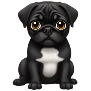pug black sticker