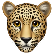 Leopard sticker