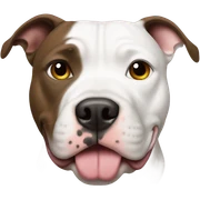 Pitbull  sticker