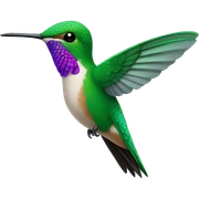 Hummingbird sticker