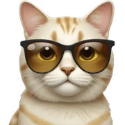 Cat with sunglasses sticker