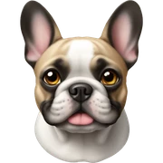 French bulldog  sticker