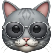 Cat with sunglasses sticker