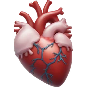 Ocean anatomical heart sticker