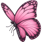 Pink butterfly  sticker