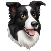 border collie sticker