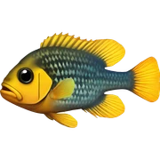 cichlid sticker