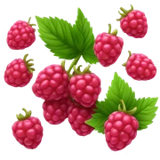 Raspberry sticker