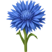 Cornflower  sticker