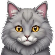 Cat  sticker