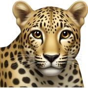 leopard  sticker