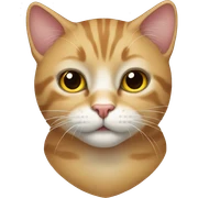 Cat sticker