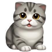 Scottish Fold Cat sticker