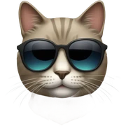 Cat with sunglasses sticker