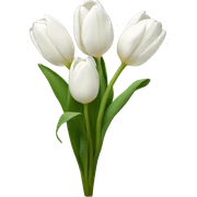 White tulips  sticker