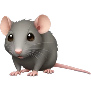 rat sticker