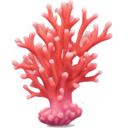 coral sticker