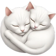 two white cats sleeping curled up next to each other sticker