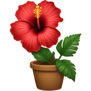 red hibiscus flower sticker