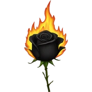 BURNING black ROSE sticker