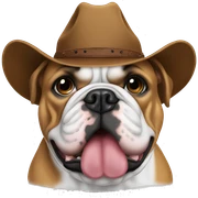 English bulldog wearing a cowboy hat sticker