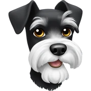 black and white schnauzer with slightly white eyebrows and whiskers, everything else is black sticker