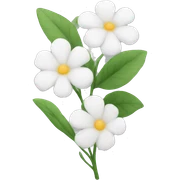 White flowers sticker
