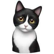 Black-white-cat sticker