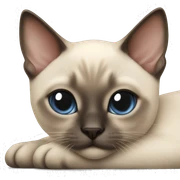 Siamese kitten laying sticker
