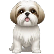 shih tzu white sticker