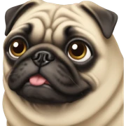 pug sticker