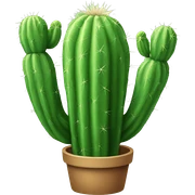 Single realistic Green cactus sticker