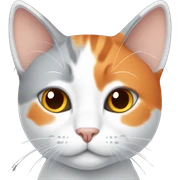 grey,orange white cat sticker