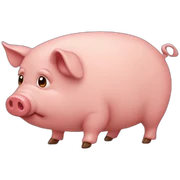 Cochon sticker