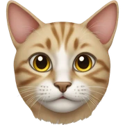 cat sticker