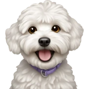 Happy maltipoo  sticker