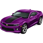 chevrolet camaro sticker