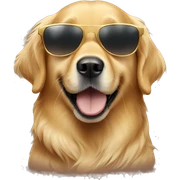 golden retriever wearing sunglasses sticker